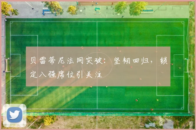 贝雷蒂尼法网突破:坚韧回归,锁定八强席位引关注